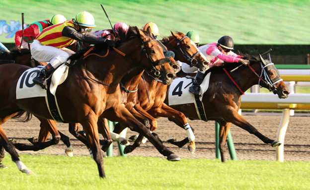 日本で競馬が人気である３つの理由【スポーツベットサイトの探し方も解説】

